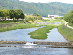 鴨川河川敷